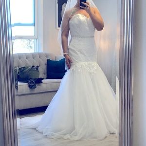 Wedding Dress with belt and veil
